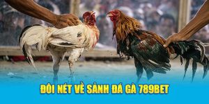 789BET Đá Gà - Game Kịch Tính Gay Cấn Nhất Năm 2024